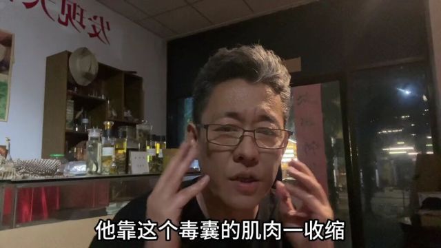 舟山眼镜蛇会喷毒吗眼镜王蛇为什么不喷毒