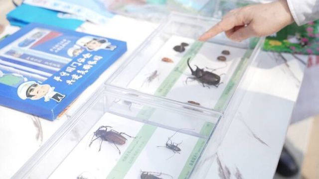 龙口市开展国门生物安全科普宣传活动