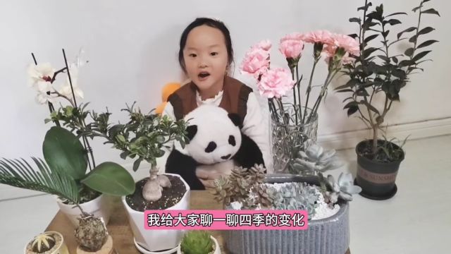 开卷有益 | 台江区第二实验幼儿园绘本故事《四季的变化》