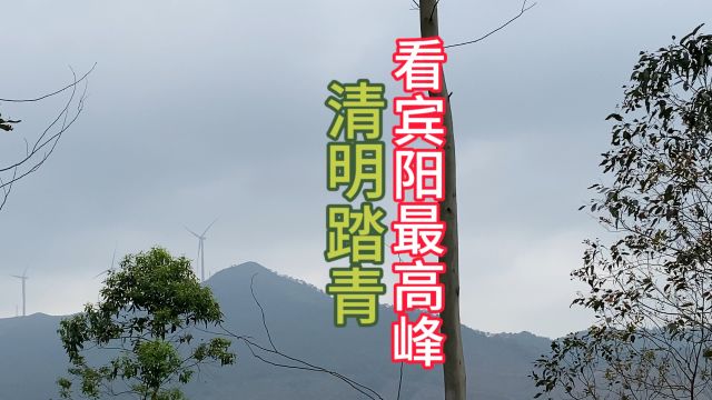 看广西的大山