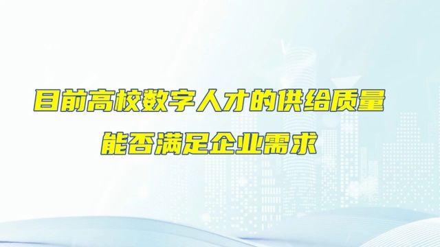 对话安恒信息首席人才官苗春雨:1100万数字人才缺口,高校怎么补?丨教育全面服务“三支队伍”建设大家谈⑨