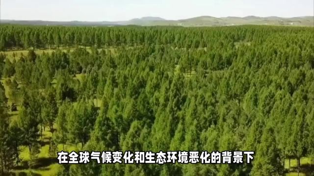 林草资源管理系统:构筑绿色长城,守护自然之美