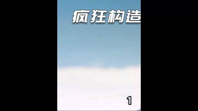 墨西哥蝾螈逆天再生能力长生不老 #纪录片 #动物