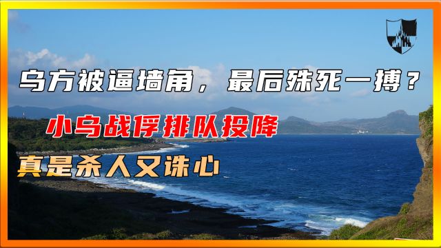 乌方被逼墙角,最后殊死一搏?小乌战俘排队投降,真是杀人又诛心