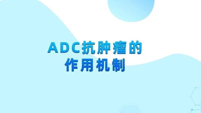 ADC抗癌机制大不同!新一代ADC显神通