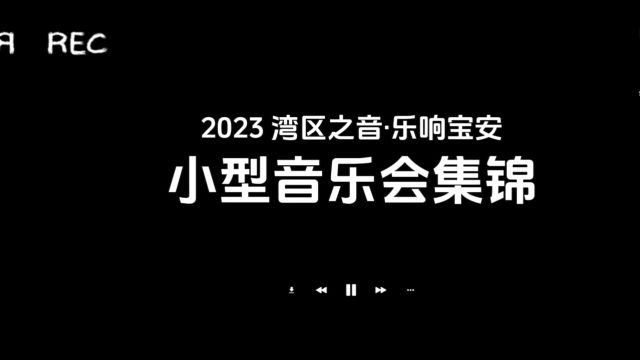 小型音乐会集锦【年度回顾】