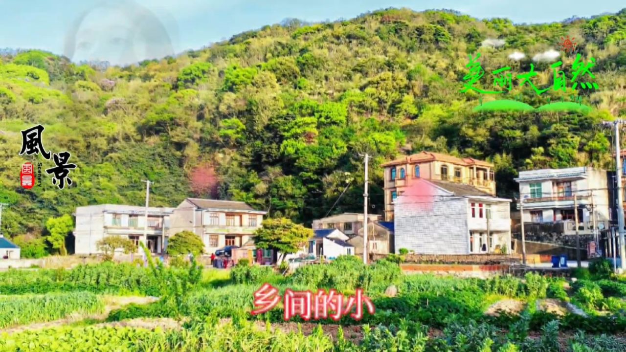 歌曲走在乡间的小路上(歌曲走在乡间的小路上刘文正)
