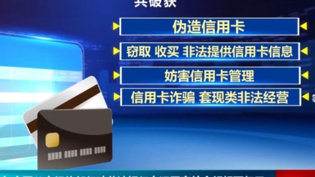 2023年全国公安经侦部门破获涉银行卡犯罪案5000起,金额超百亿元