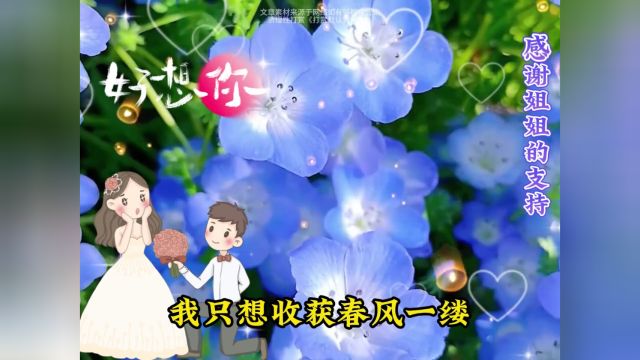 2129【想听你的声音】寂静的夜,你的声音是我的慰藉.