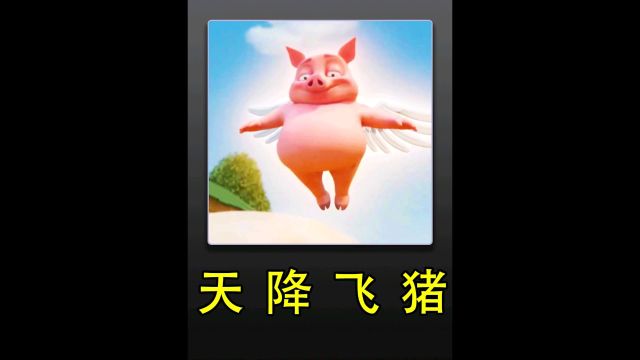 天降飞猪𐟐𗀀