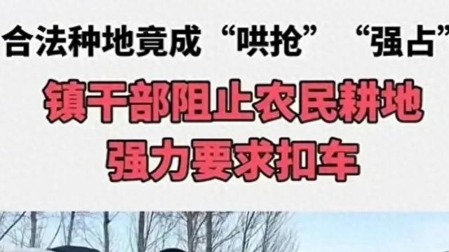 闹大了!镇干部拦春耕后续:纪云浩疑学历造假,更多内幕被扒