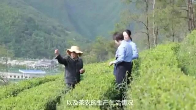 检察护企|助力“小茶叶”变“大产业”