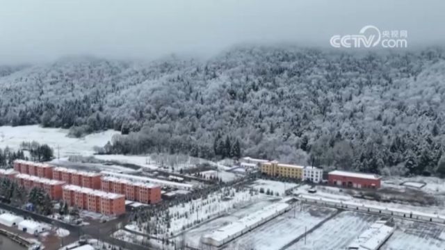 吉林汪清:天桥岭林区迎来春雪,宛如童话世界