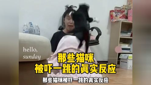 那些猫咪被吓一跳的真实反应，来看看谁的表情最夸张？_高清1080P在线观看平台_腾讯视频