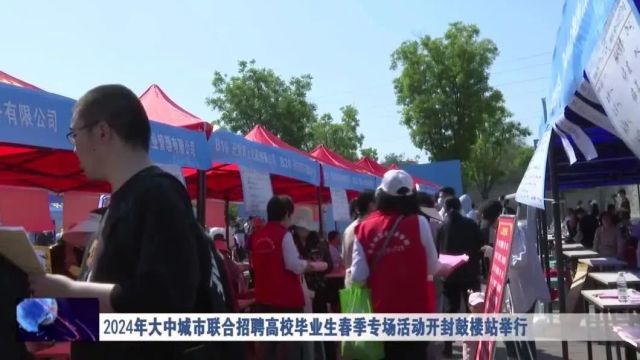 2024年大中城市联合招聘高校毕业生春季专场活动开封鼓楼站举行