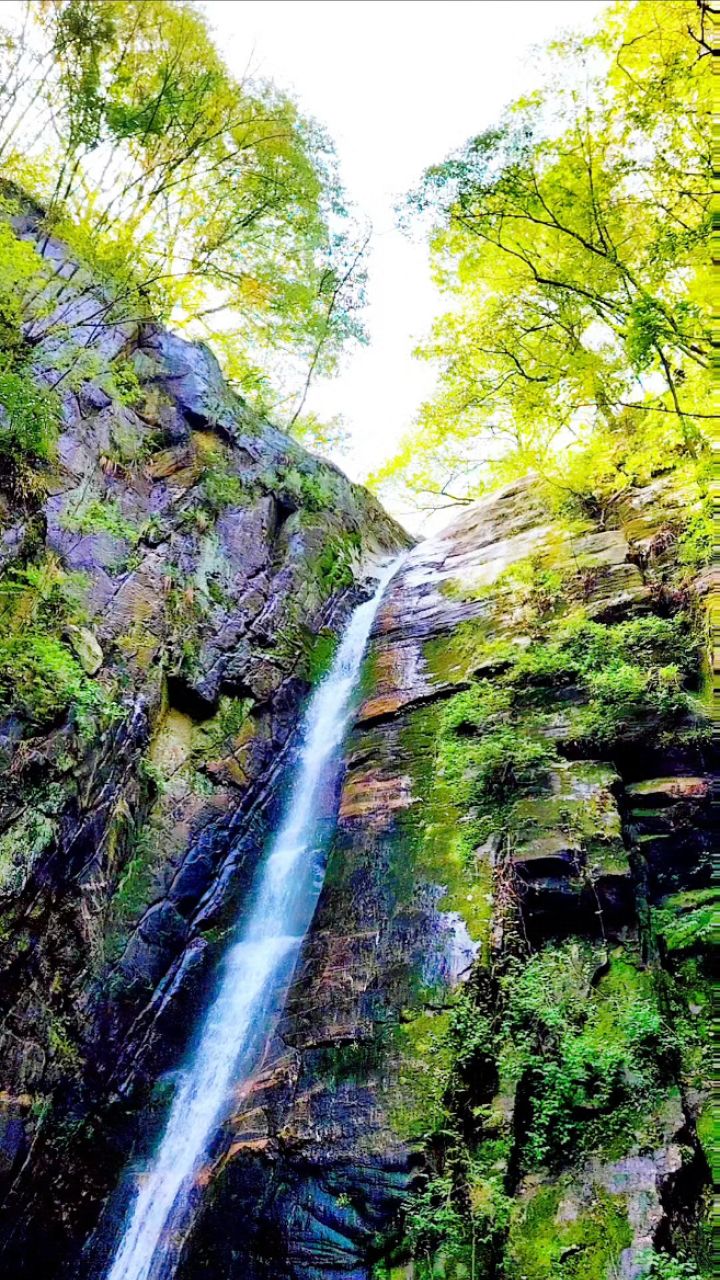 高山流水,意境悠扬,情于山水,宁静致远!