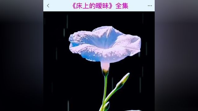 《床上的暧昧》点击下方查看后续精彩内容