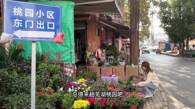 “总得来趟芜湖桃园吧 感受人间烟火气”#芜湖美食 #桃园美食 #芜湖 #烟火气#重庆美食推荐官吃芜湖