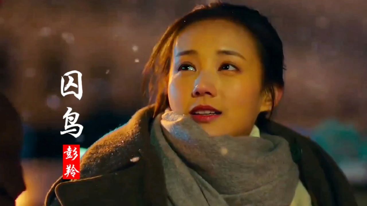 彭羚经典歌曲《囚鸟》,深情好听的歌声,听哭多少有情人_高清1080P在线观看平台_腾讯视频