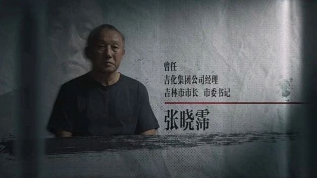 张晓霈受贿6934万余元,被判处有期徒刑九年!