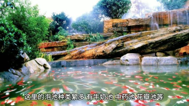 沈阳红谷温泉,绿植花卉环绕,享受如花丛中沐浴的心灵净化