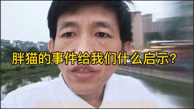 胖猫的事件给我们什么启示?