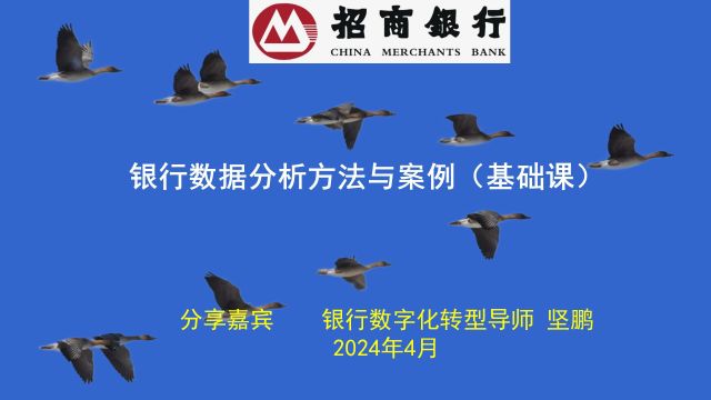 数字化转型导师坚鹏:招商银行合肥分行数据分析基础课培训视频(1)