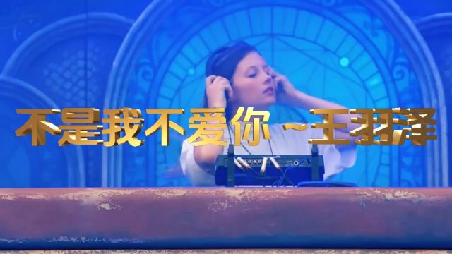 不是我不爱你DJ舞曲