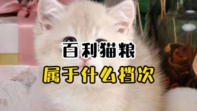 百利猫粮属于什么档次?