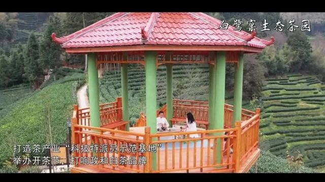 五一政和游 | 来铁山体验“悠游”岁月的快乐