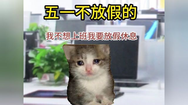 五一放假的各种人#人间真实#猫咪表情包#五一假期