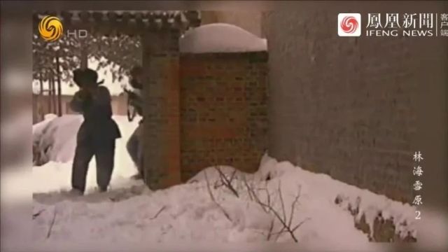 剿匪系列|纪录片《林海雪原东北剿匪记》10集(全)