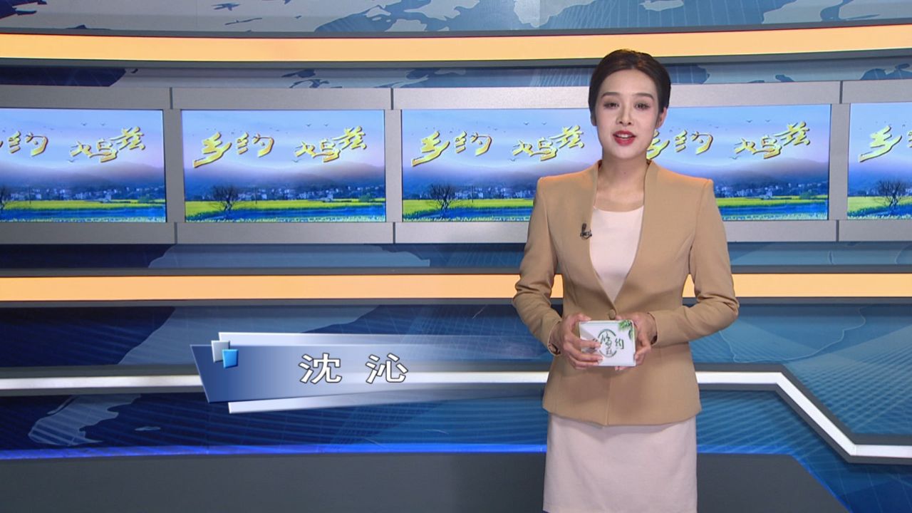 乡约鸠兹20240512节目