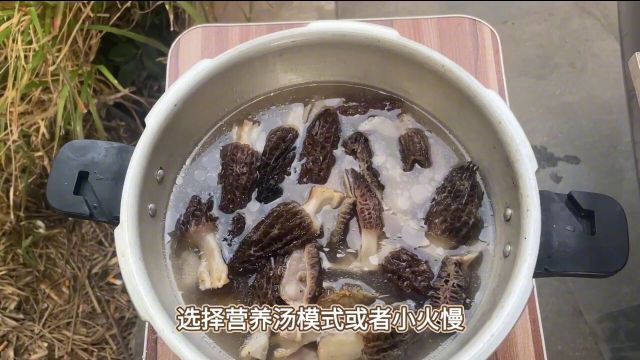 羊肚菌炖汤全攻略:泡发、炖煮,一步到位