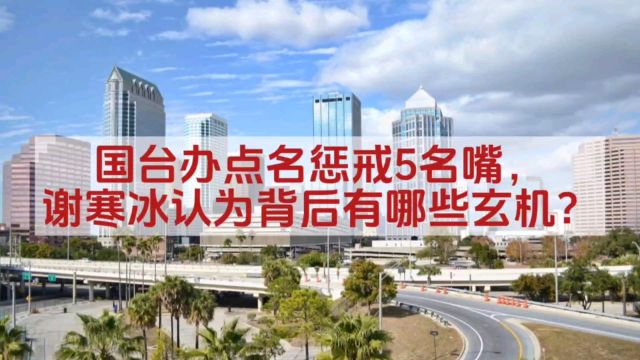 国台办点名惩戒5名嘴,谢寒冰认为背后有哪些玄机?