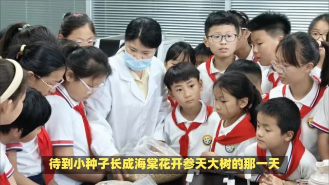 看,海棠娃出发啦——肥光小学走进皖西北(阜南)粮食产业园