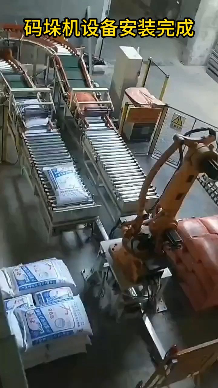 旋转折臂纸箱码垛机全自动堆垛机南通工地展示
