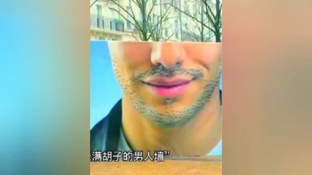 “一根胡子一朵玫瑰促成了好多情侣”