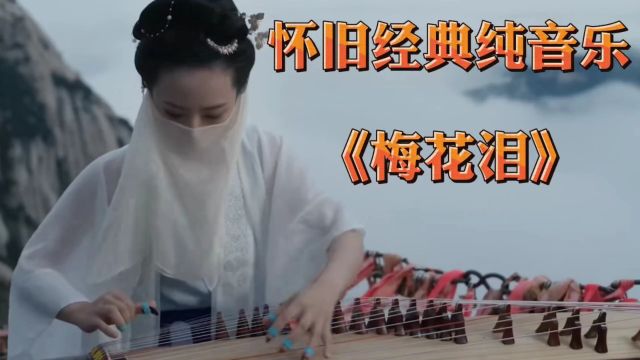 经典纯音乐《梅花泪》优美的旋律令人陶醉!