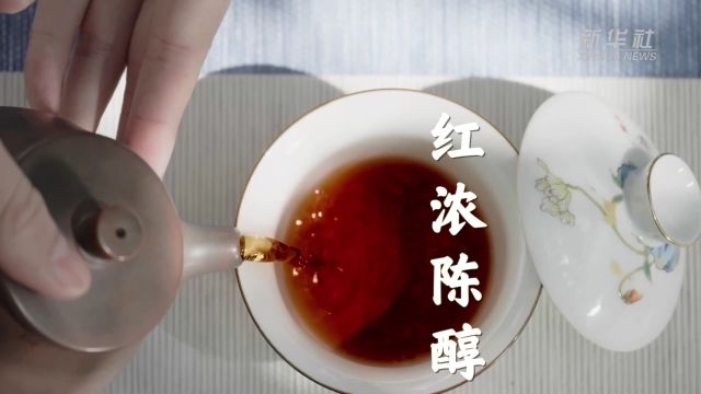 文化中国行|一杯一盏品“非遗” 六堡茶香沁人心