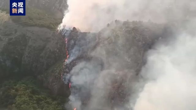 山西交城一地发生山火,当地正组织扑救