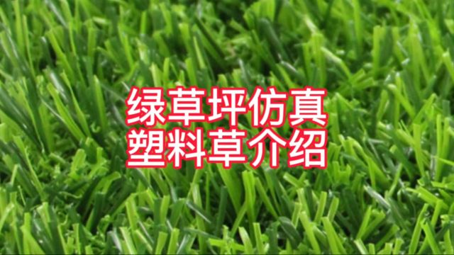 绿草坪仿真塑料草介绍