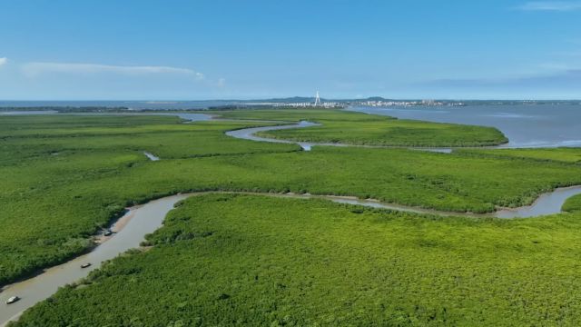 中国湿地:滨海湿地