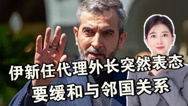 伊朗总统坠亡后,伊代理外长:将继续缓和与邻国关系