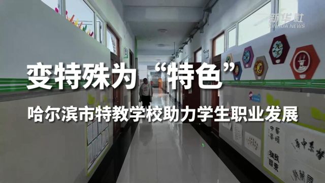 变特殊为“特色” 哈尔滨市特教学校助力学生职业发展