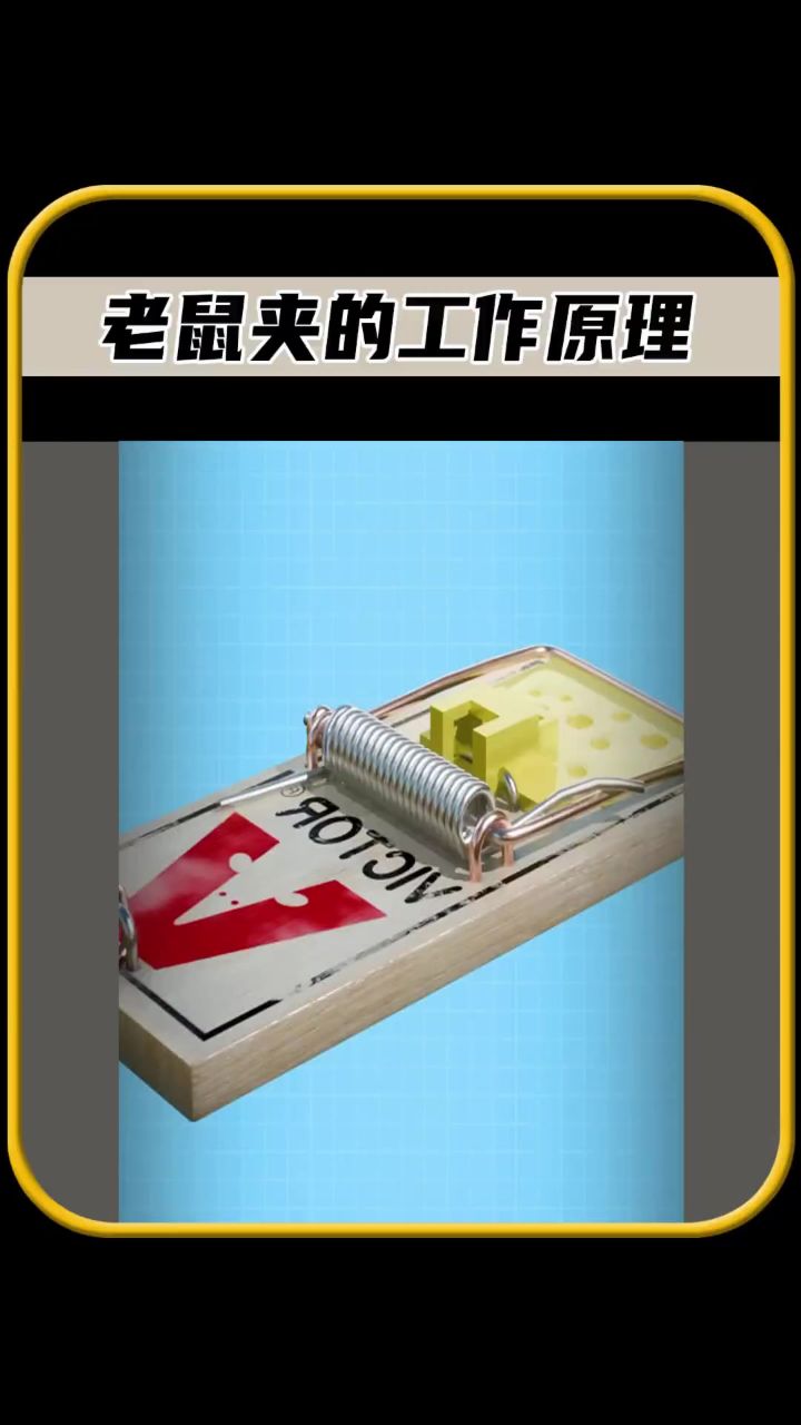 你知道老鼠夹的工作原理吗
