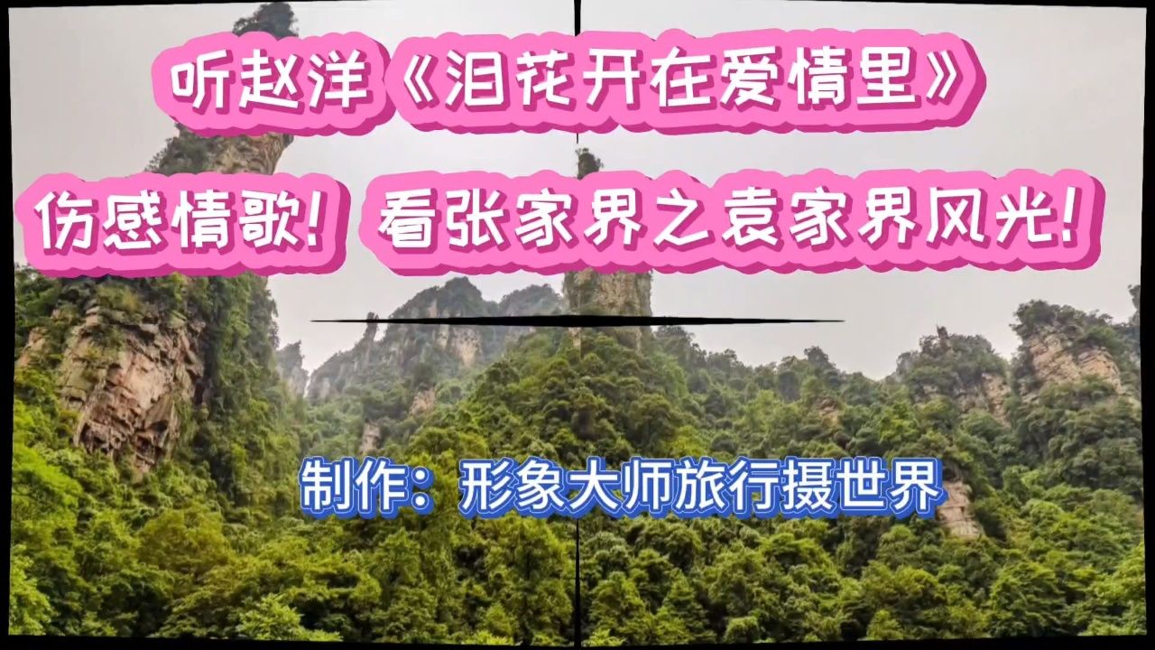 听赵洋《泪花开在爱情里》伤感情歌!看张家界之袁家界风光