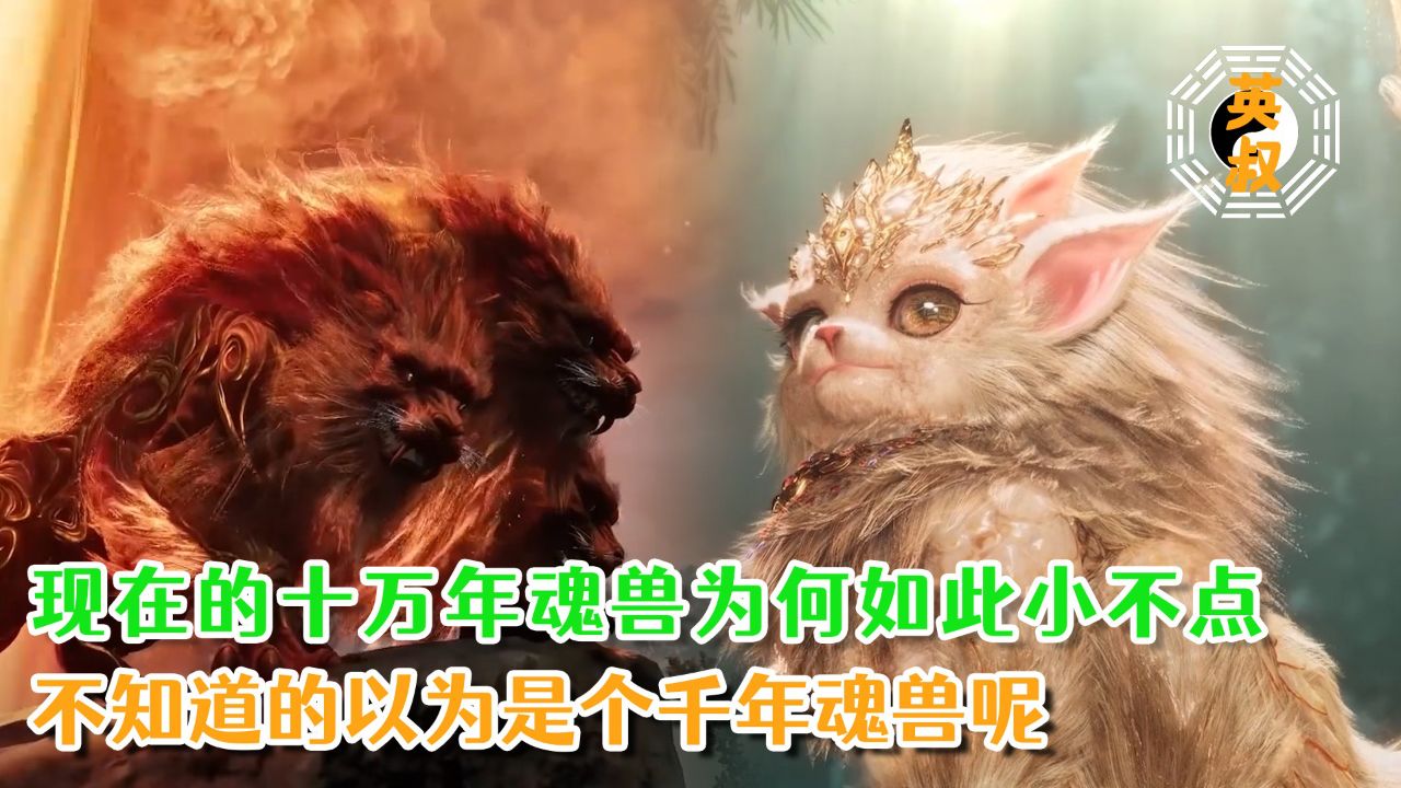 绝世唐门:现在的十万年魂兽为何如此小不点?不知道的以为是个千年魂兽呢!_高清1080P在线观看平台_腾讯视频
