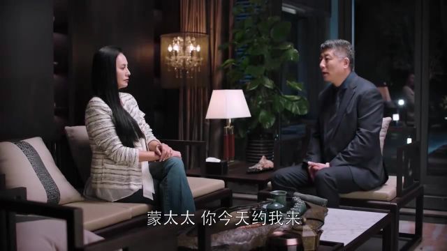 都挺好:夫人不相信娘家人,把公司交给老总心腹,心机男偷乐得逞