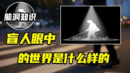 盲人眼中的世界是什么样的?_高清1080P在线观看平台_腾讯视频